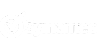 Symantec logo